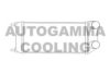 AUTOGAMMA 103792 Intercooler, charger